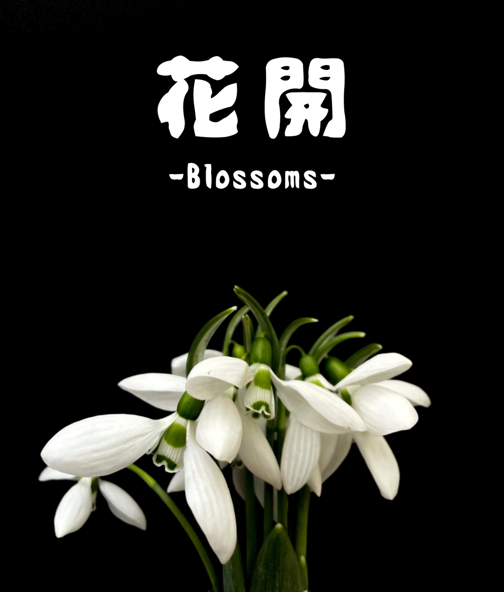 idfont壊雲体！一款手绘复古俏皮的免费可商用字体