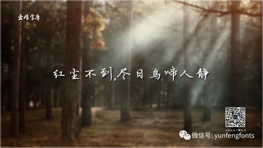 云峰寒蝉体