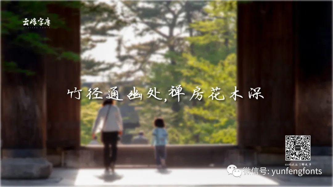 云峰寒蝉体