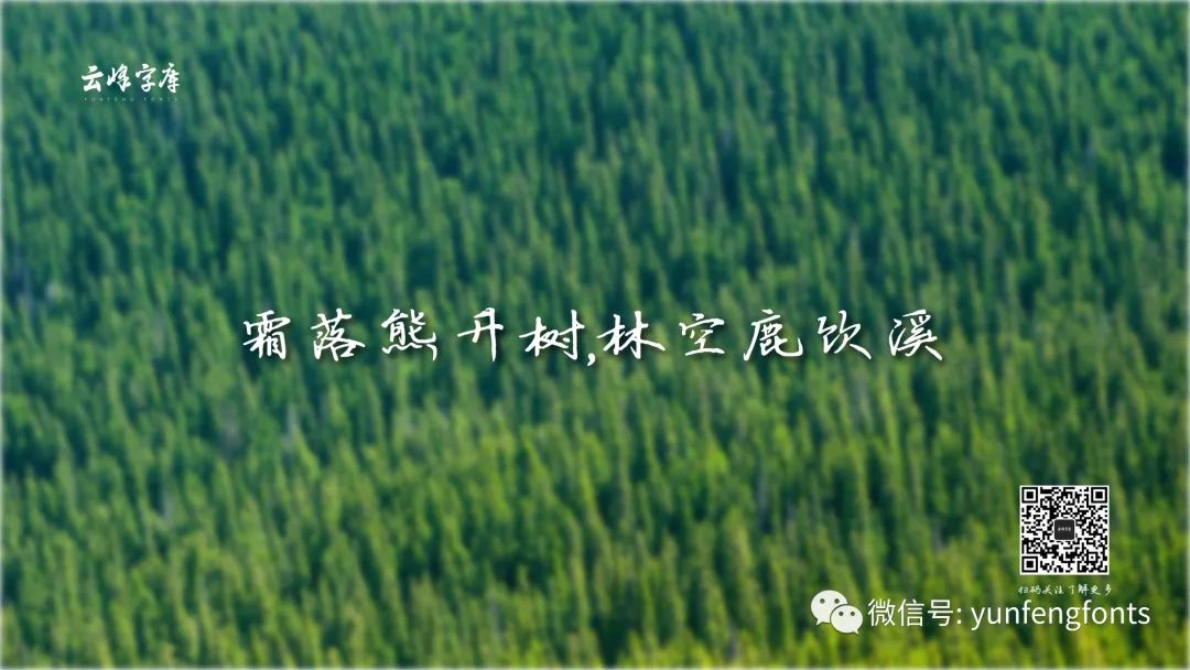 云峰寒蝉体