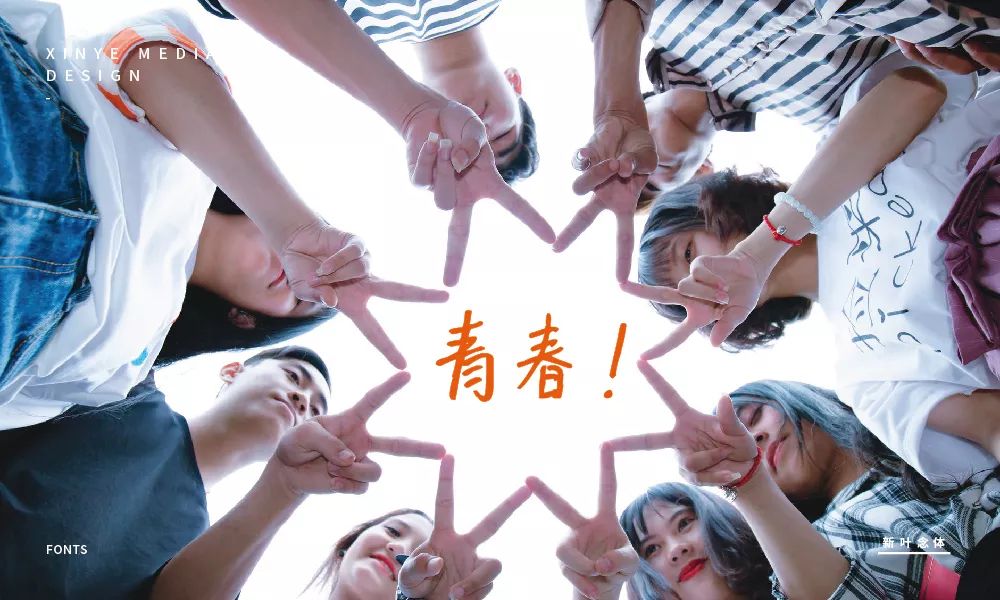 新叶念体