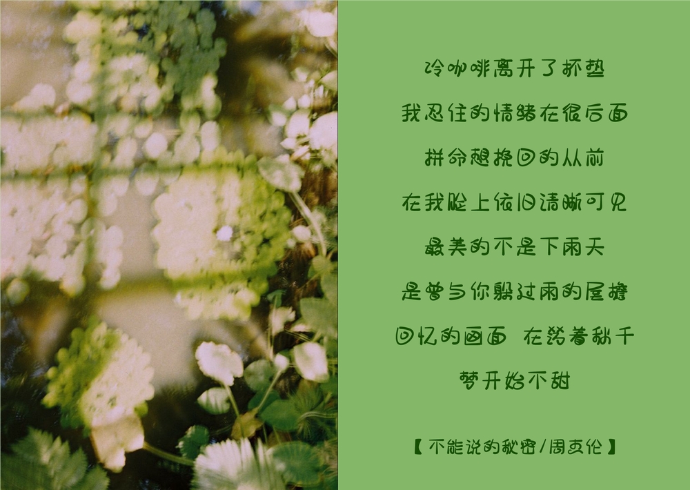 宅在家粉條甜！一款圆润俏皮的免费商用中文字体