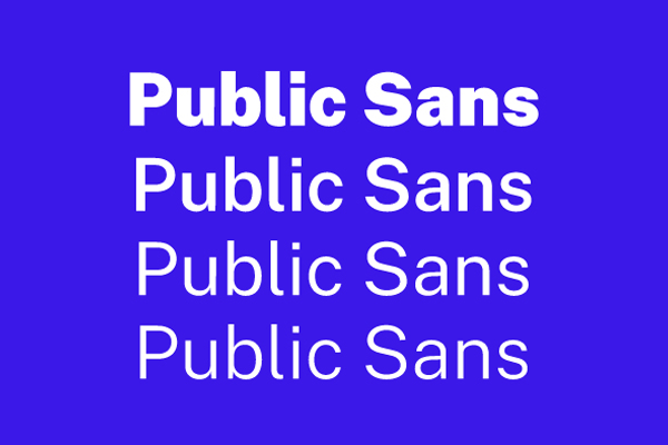 Public Sans