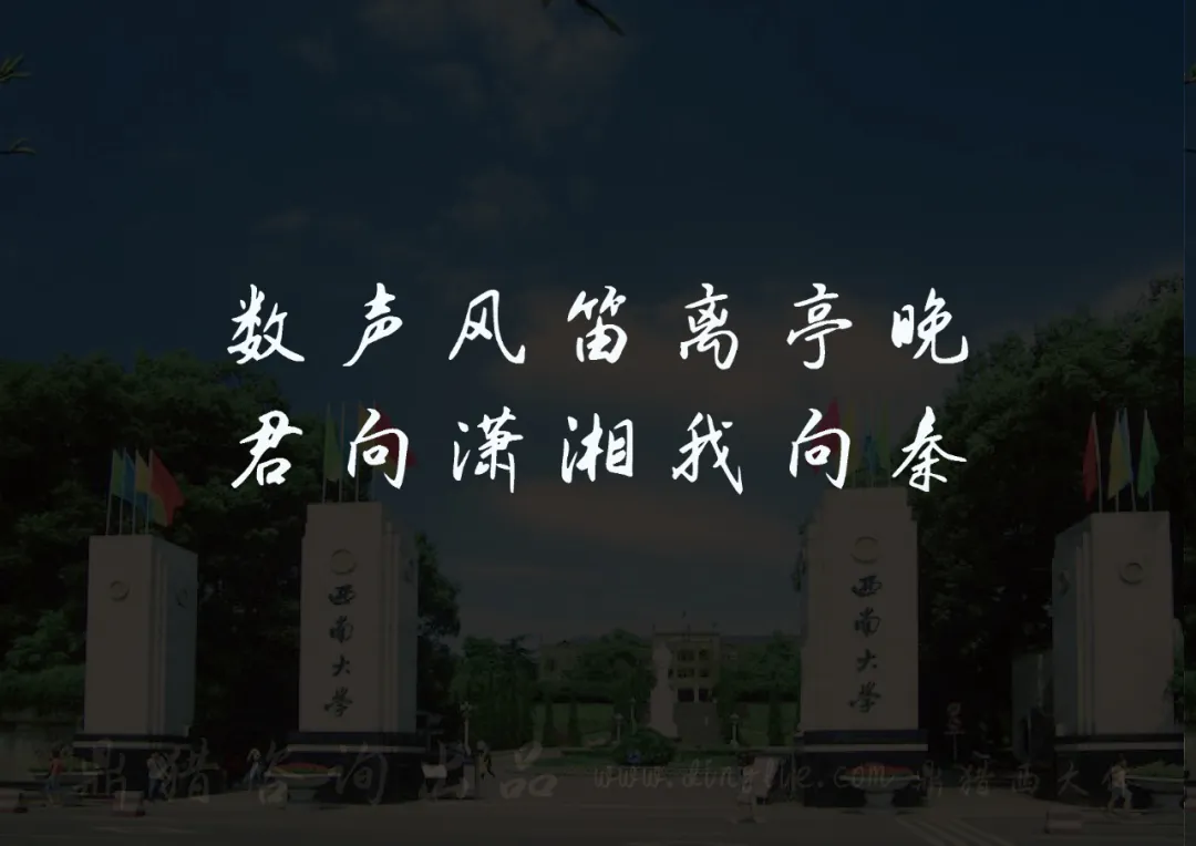 鼎猎西大体