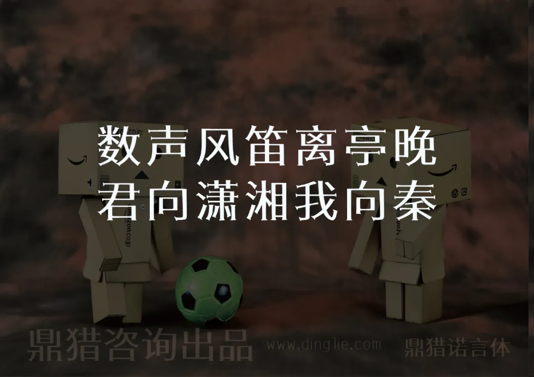 2025033102574536.webp 鼎猎诺言体