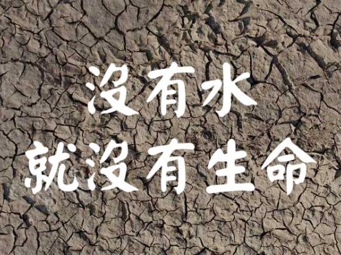 刻石录颜体