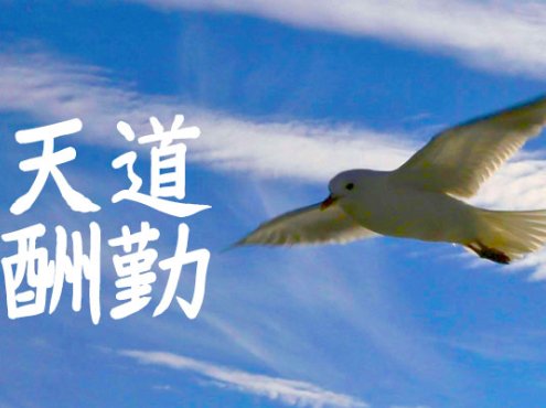 YOzFont毛笔楷书