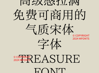12款高级感拉满免费可商用的气质宋体