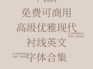 高级优雅现代衬线英文